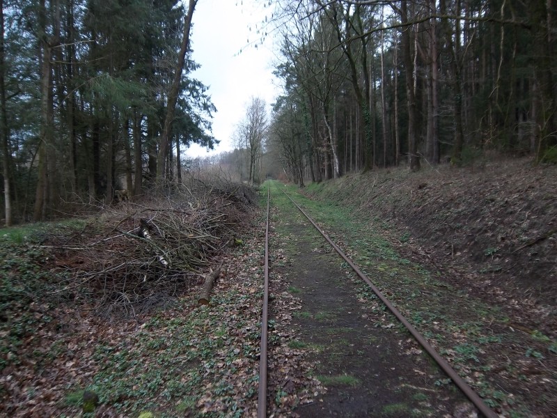 ZWNEGI21